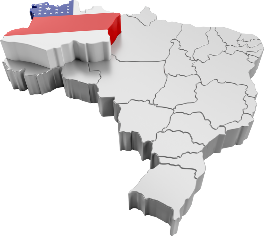 Brazil map with Amazonas state flag in 3d render